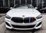 ///M-Colored Grille Insert Trims For 2019-up BMW G15 8 Series w/ 9-Beam Grill