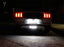 Red/White LED Rear Fog/Reverse Light Conversion Kit For 2015-2023 Ford Mustang