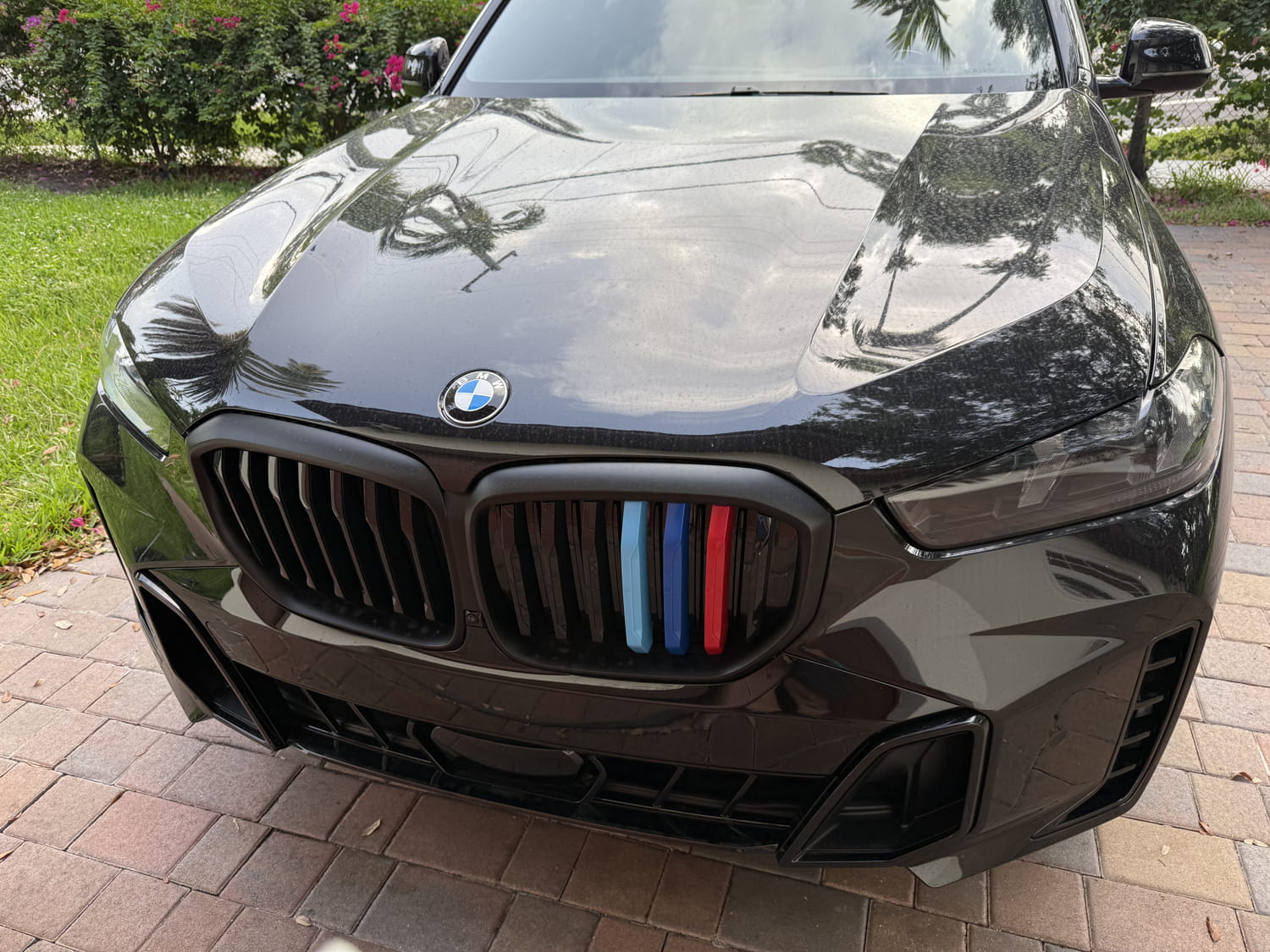 X5 2025 G05  Installed M-Color Grille Insert Trims