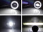 Black-Out 2-In-1 White 24W High Power LED Fog Lamps w/ Halo DRL For Toyota Truck