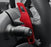 Red Aluminum Larger Paddle Shifter Extension For BMW G60 5 Series i5, G45 X3, X1
