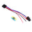 iJDMTOY Automotive Lighting & Accessories
