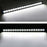 iJDMTOY Automotive Lighting & Accessories
