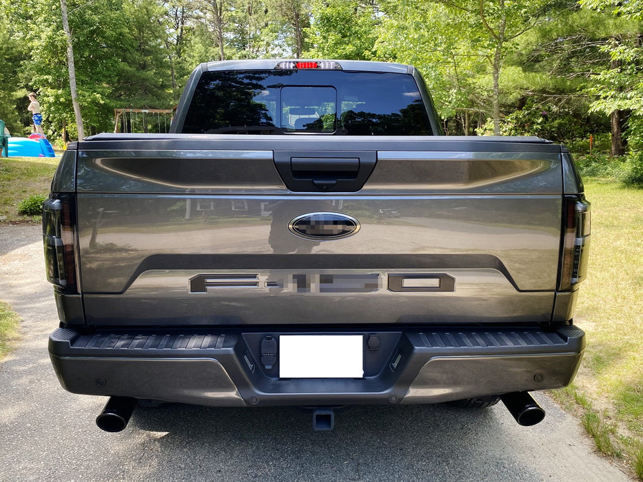 LED High Mount Third Brake Stop Light For 15-20 Ford F-150, F-250, F-350 – Clear Lens/Black Housing