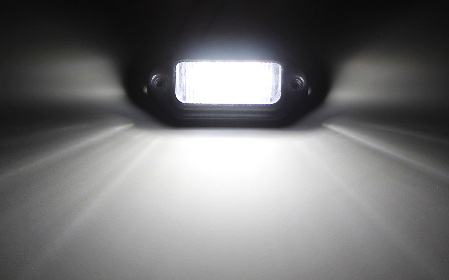 Steel Heavy Duty License Plate Holder + White LED Illumination Light F ...
