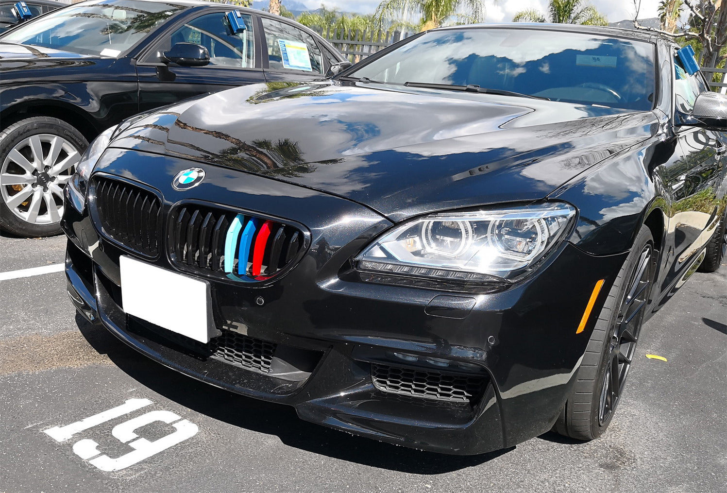 M6 Style Three M Color Kidney Grille Mesh For BMW 6 Series F06 F12 F13 2012 -201 M6 Style Three M Color Kidney Grille Mesh For BMW 6 Series F06 F12 F13 2012 -201
