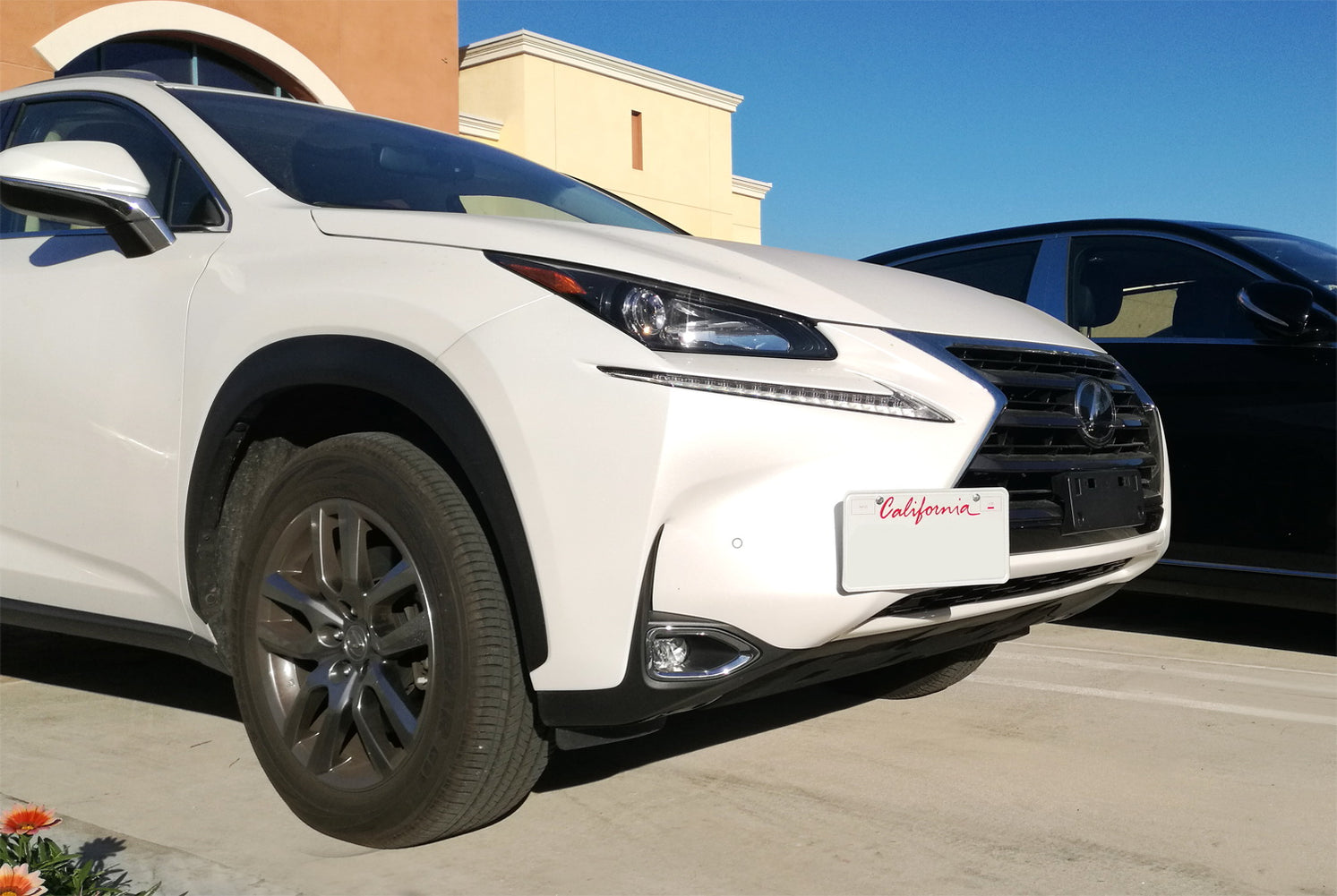 JDM Bumper Tow Hook License Plate Mount Bracket For 2015-up Lexus NX20 ...